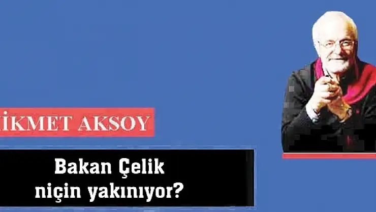 Bakan Çelik niçin yakınıyor?