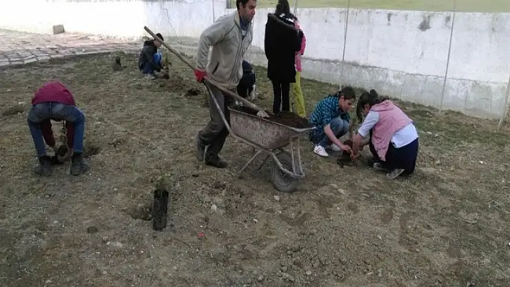 Özalp Kaymakamlığı 7 Bin Fidan Dağıtıldı