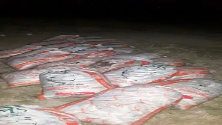 Vanda Kaçak Balık Operasyonu