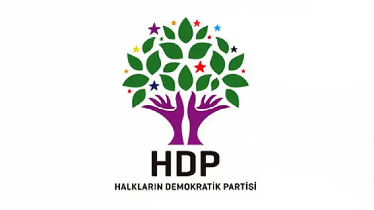 HDP Anayasa Mahkemesine Başvurdu
