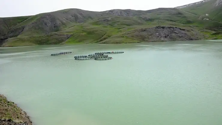 Vandaki Barajların Doluluk Oranı Yüzde 100ü Aştı 