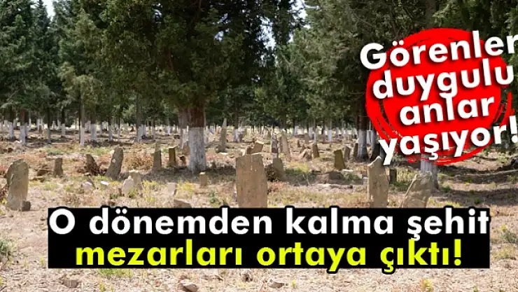 Çanakkale’de şehit mezarları ortaya çıktı