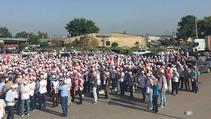 Nestlede grev başladı