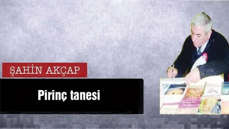 Pirinç tanesi 