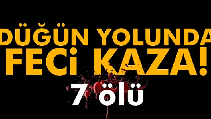 Şanlıurfa'da feci kaza: 7 ölü