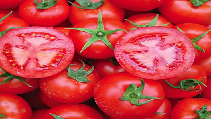 Vanda temmuz ayının zam şampiyonu domates oldu