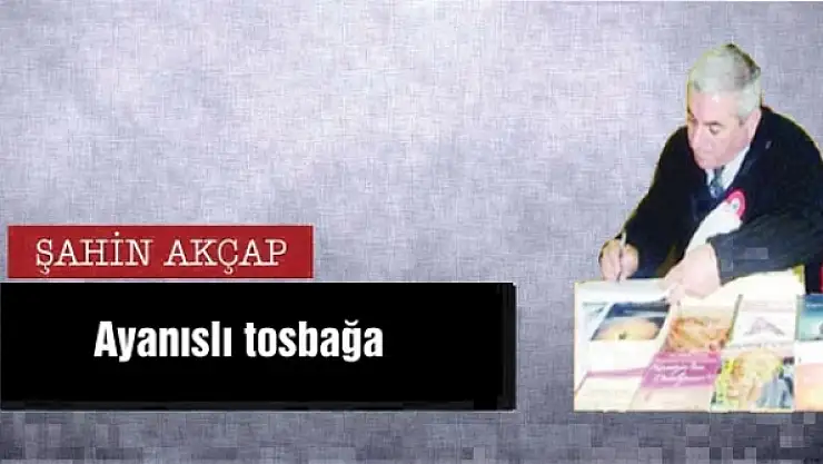 Ayanıslı tosbağa 