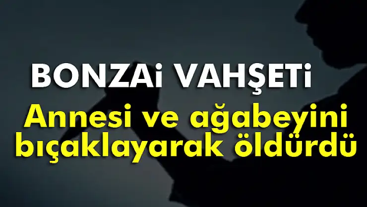 Bağcılar'da bonzai vahşeti