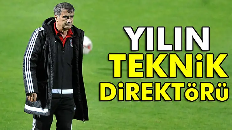 Şenol Güneş, Yılın Teknik Direktörü seçildi