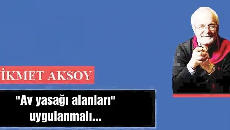 'Av yasağı alanları' uygulanmalı...
