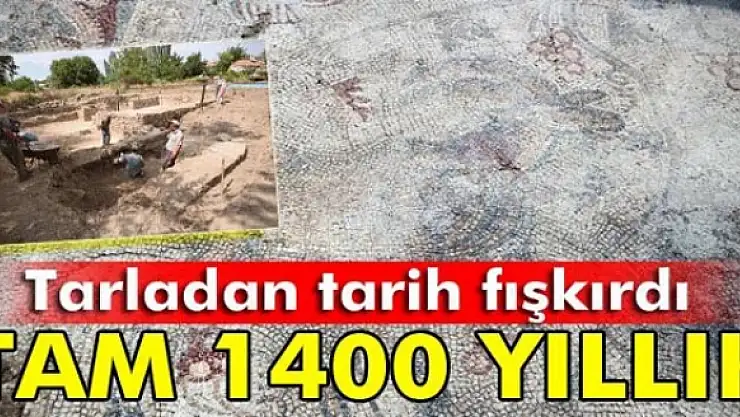 Yonca tarlasında bin 400 yıllık mozaik