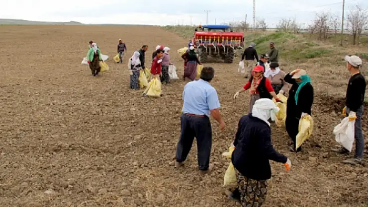 Tarımsal projelere 18 milyon TL yatırım 