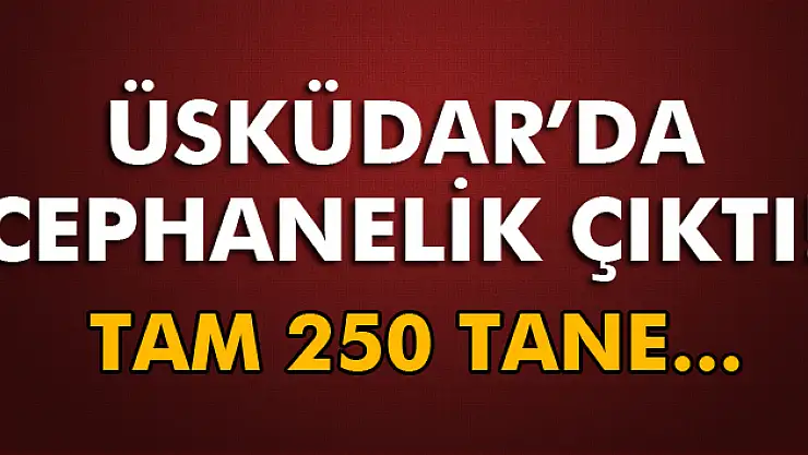 İstanbul'da panik! Çok sayıda bulundu