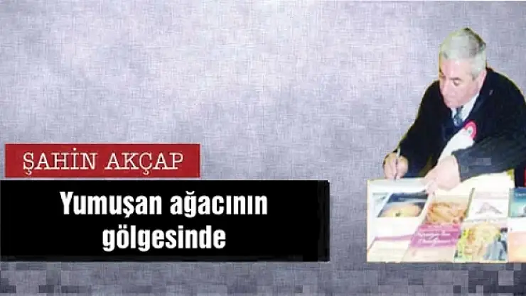 Yumuşan ağacının gölgesinde