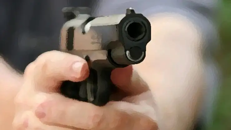 Silvan'da 2 aile arasında silahlı kavga