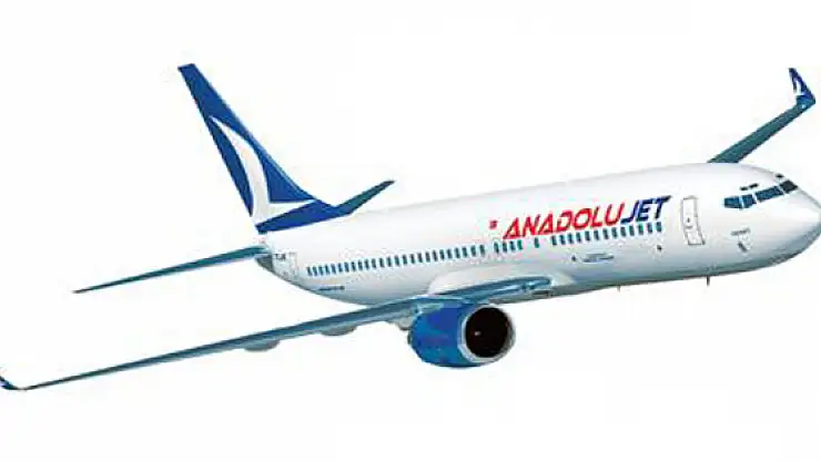 Anadolujet uçağı Van'a inemedi