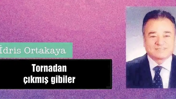 Tornadan çıkmış gibiler