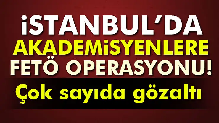İstanbulda akademisyenlere FETÖ gözaltısı