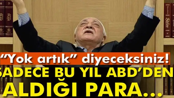 FETÖnün sadece bu yıl ABD'den aldığı para 500 milyon dolar