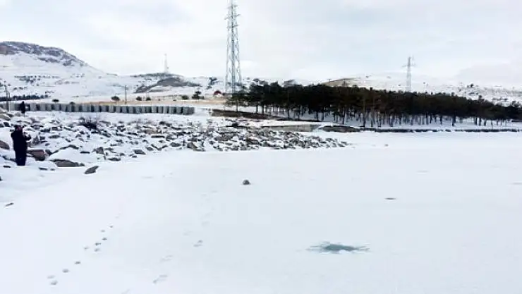  Van'da Sibirya soğukları 