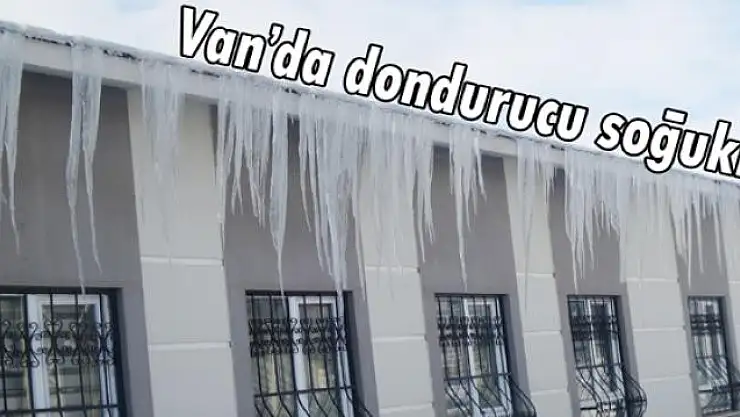 Van'da dondurucu soğuklar