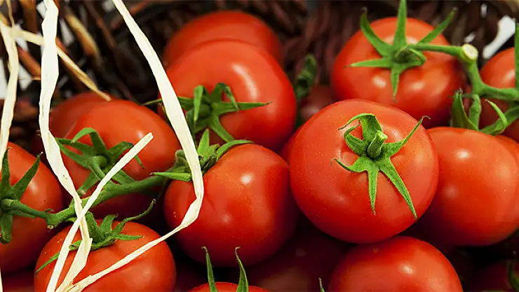 Ekim ayının rekortmeni Domates oldu