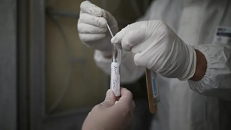 İngiliz araştırmacılardan dikkat çeken çalışma: 'Covid-19 akıl sağlığını tehdit ediyor'