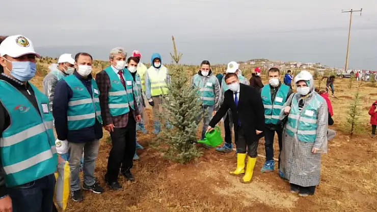 Hükümlü ve yükümlüler ağaç dikerek topluma kazandırılıyor