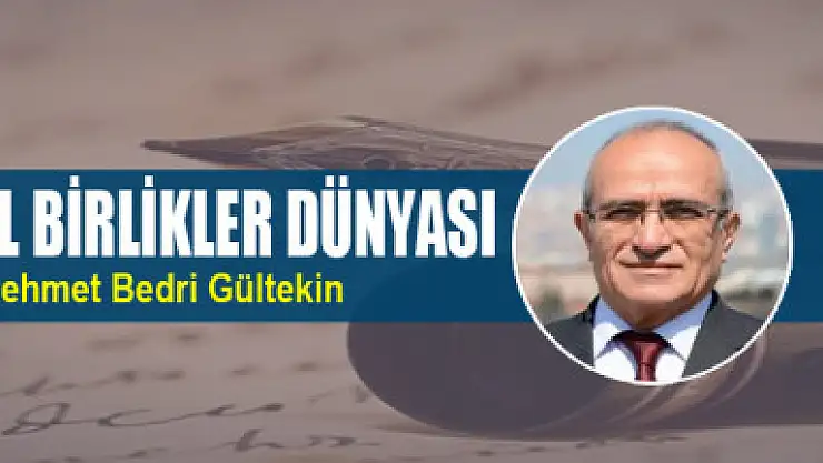 Bölgesel Birlikler Dünyası