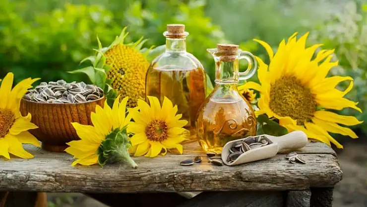 Ayçiçek tohumu yağında gümrük vergisi düşürüldü