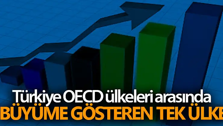 Türkiye OECD ülkeleri arasında büyüme gösteren tek ülke
