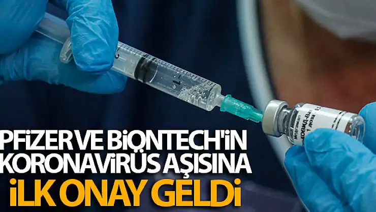 Pfizer ve Biontech'in koronavirüs aşısına ilk onay geldi