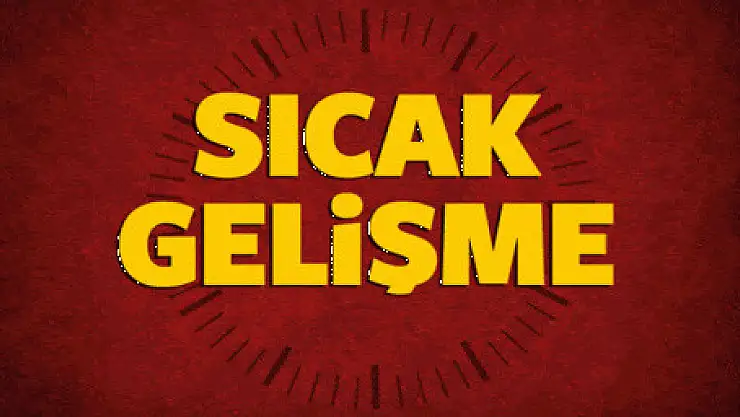 İkna edilen 2 örgüt mensubu teslim oldu