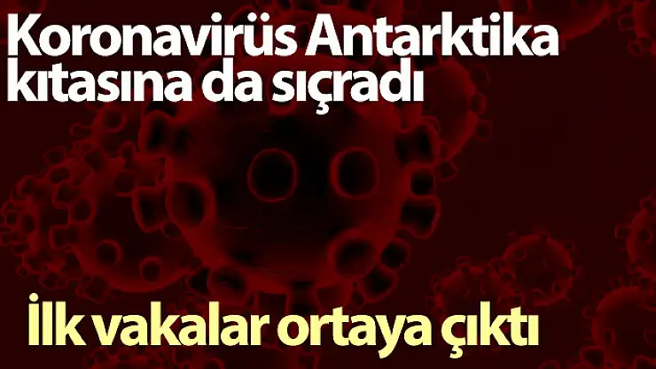 Koronavirüs Antarktika kıtasına da sıçradı