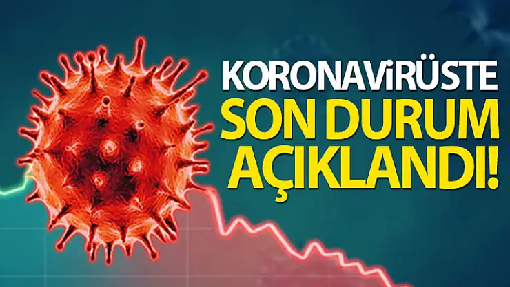 Türkiye'de son 24 saatte 6.435 koronavirüs vakası tespit edildi