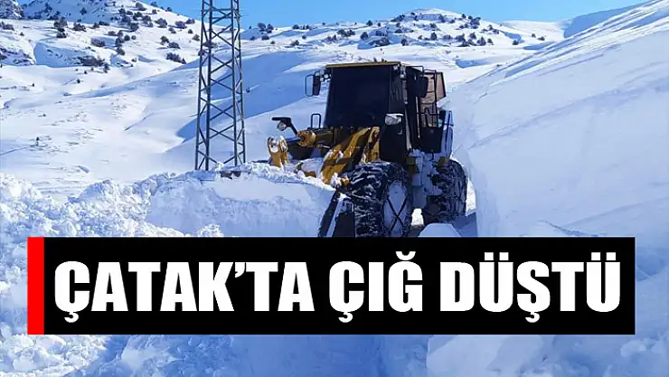 Çatak'ta çığ düştü: 1 mahalle ve 6 mezranın yolu kapandı