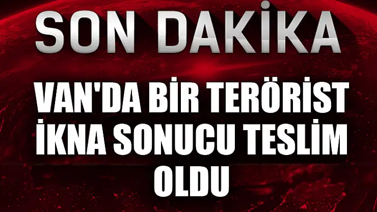 Van'da bir terörist ikna sonucu teslim oldu