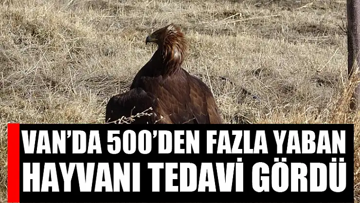 Van'da 500'den fazla yaban hayvanı tedavi gördü