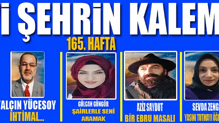 Mavi Şehrin Kalemleri