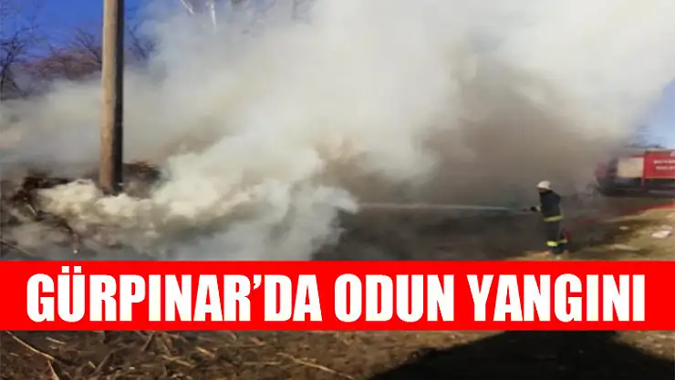 Gürpınar'da odun yangını