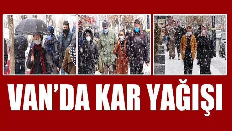 Van'da kar yağışı