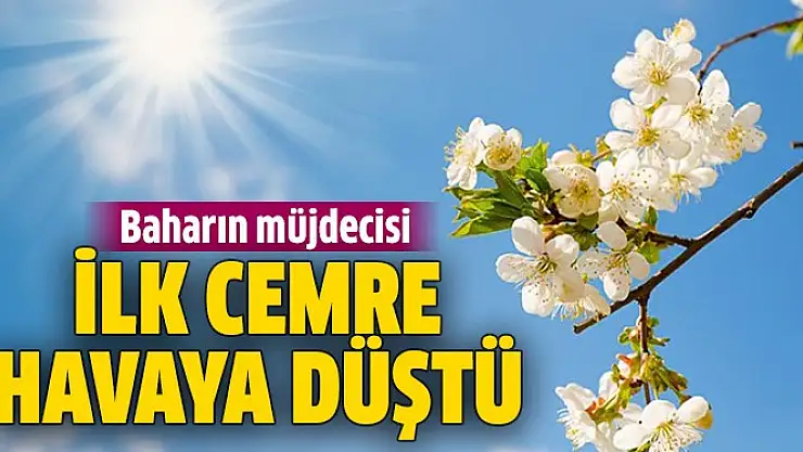 Baharın müjdecisi olan ilk cemre bugün havaya düştü