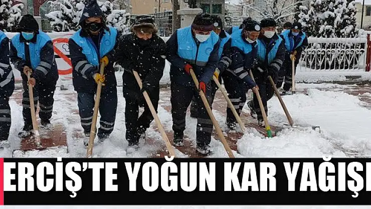 Erciş'te yoğun kar yağışı