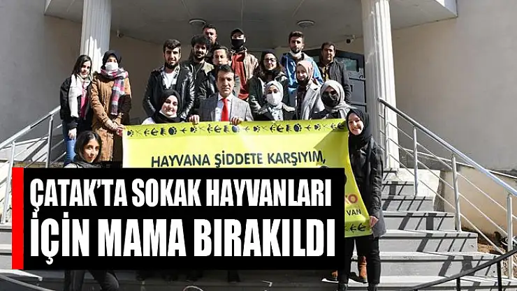 Çatak'ta sokak hayvanları için mama bırakıldı
