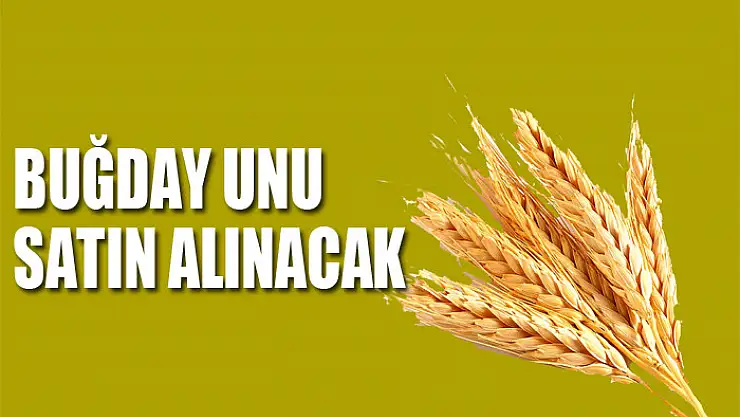 Buğday unu satın alınacak