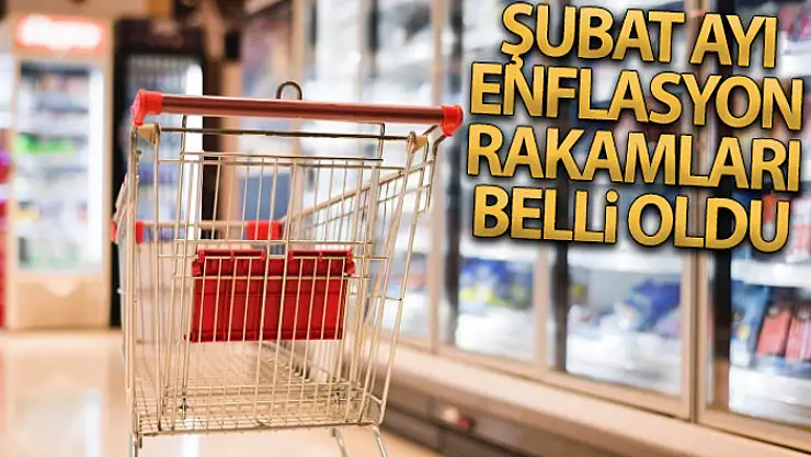 Şubat ayı enflasyonu açıklandı
