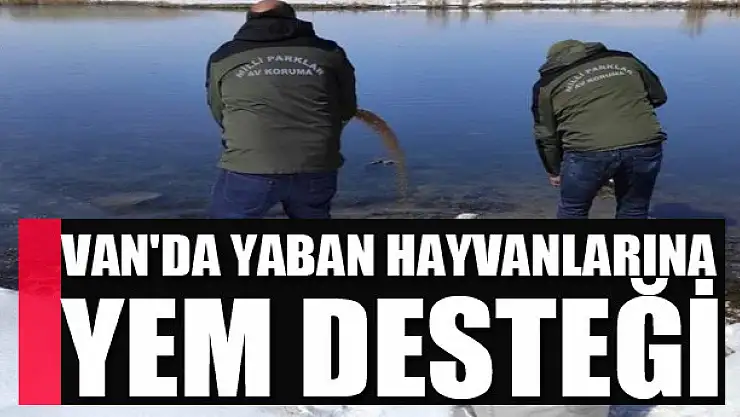 Van'da yaban hayvanlarına yem desteği