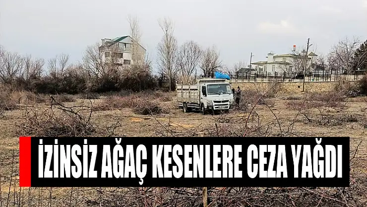 İzinsiz ağaç kesenlere ceza yağdı