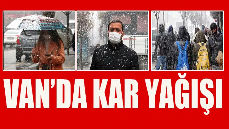 Van'da kar yağışı