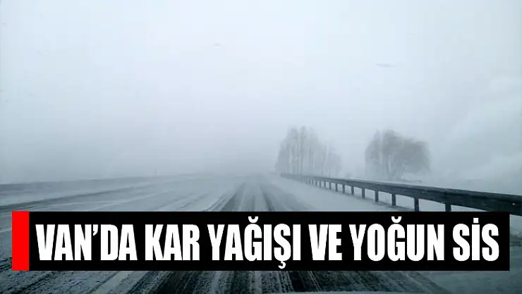 Van'da kar yağışı ve yoğun sis